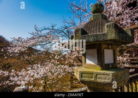 Piccolo santuario e fiori di ciliegio nel tempio buddista Kiyomizu-dera, sito patrimonio dell'umanità dell'UNESCO, Kyoto, Honshu, Giappone, Asia Foto Stock