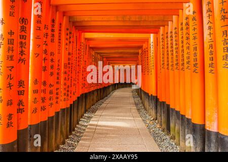 Le Endless Red Gates (Torii) del Fushimi Inari di Kyoto, Kyoto, Honshu, Giappone, Asia Foto Stock