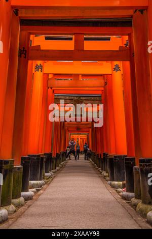 Le Endless Red Gates (Torii) del Fushimi Inari di Kyoto, Kyoto, Honshu, Giappone, Asia Foto Stock