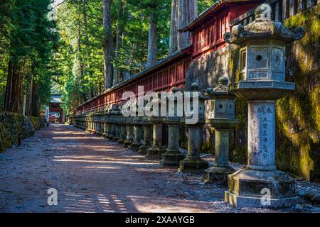 Lanterne di pietra nel Santuario Futarasan, sito patrimonio dell'umanità dell'UNESCO, Nikko, prefettura di Tochigi, Kanto, Honshu, Giappone, Asia Foto Stock