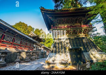 Santuario di Toshogu, patrimonio dell'umanità dell'UNESCO, Nikko, prefettura di Tochigi, Kanto, Honshu, Giappone, Asia Foto Stock