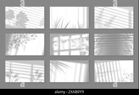 Realistica ombra floreale delle pareti. Sovrapposizioni gobo botaniche con ombre fogliarie proiettate attraverso le tendine della finestra sfondo vettoriale impostato Illustrazione Vettoriale