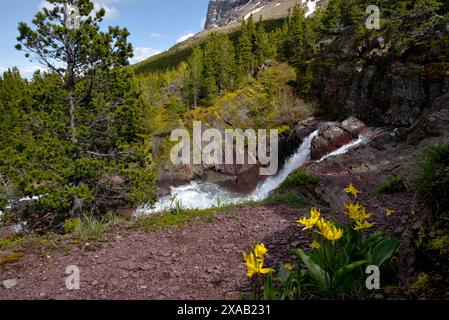 Le cascate Redrock Falls si tuffano nel parco nazionale Swiftcurrent Creek-Glacier Foto Stock