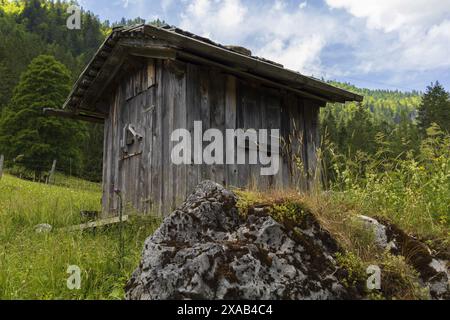 Fotografia di un'antica capanna alpina in legno sul lago Gosau vicino a Hoher Dachstein in Austria in una soleggiata giornata estiva Foto Stock