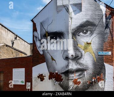 Kintsugi, un murale di Daragh Fleming, a Montague Lane, Dublino, Irlanda. Sponsorizzato dai samaritani. Foto Stock