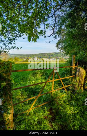 In estate si affaccia su un vecchio cancello sulle colline ondulate verso Chagford Devon Foto Stock