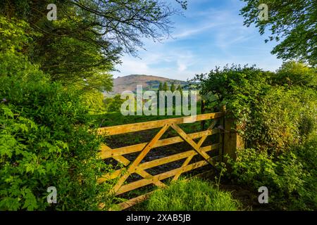 Guardando su un cancello verso Meldon Hill sopra Chagford Devon in una serata estiva Foto Stock