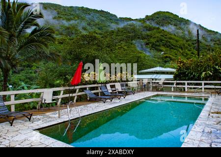 Una tranquilla oasi con piscina immersa nel resort tropicale di Porto Rico, circondata dalle verdeggianti tettoie di una foresta di nuvole. Foto Stock