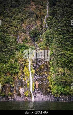 Un tour di Milford Sound a Fiordland, South Island, nuova Zelanda passa da una delle molte cascate alimentate da frequenti piogge. Foto Stock