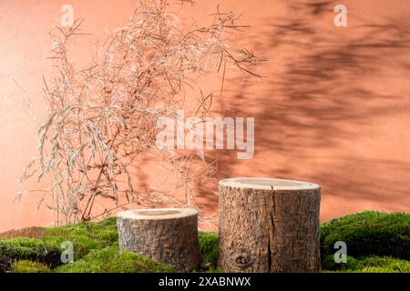 Due podi rotondi di legno e muschio verde della foresta su sfondo marrone. Fiori secchi e bellissime ombre. Copia spazio Foto Stock