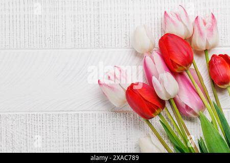 I tulipani dai colori pastello impreziosiscono il tavolo, offrendo uno sfondo sereno e vibrante, perfetto per feste primaverili o semplici gioie Foto Stock