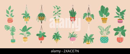 Collezione di grucce per macrame. Piante per la casa in eleganti piantatrici e vasi. Illustrazione Vettoriale