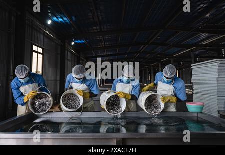 Nairobi, Kenya. 22 giugno 2023. I lavoratori puliscono le acciughe in un impianto di trasformazione a Kwale, Kenya, 22 giugno 2023. Crediti: Wang Guansen/Xinhua/Alamy Live News Foto Stock