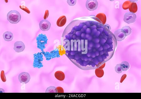 Trattamento con anticorpi monoclonali nella leucemia a cellule del plasma (PCL) - Vista ravvicinata illustrazione 3d. Foto Stock