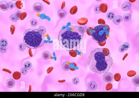 Trattamento con anticorpi monoclonali nella leucemia a cellule di plasma (PCL) - Vista isometrica illustrazione 3d. Foto Stock