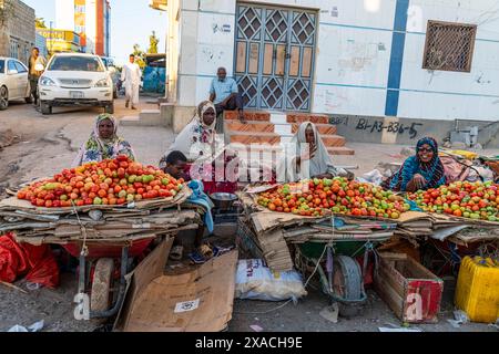 Donna che vende pomodori, Burao, Somaliland sudorientale, Somalia, Africa Copyright: MichaelxRunkel 1184-11366 solo per uso editoriale Foto Stock