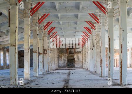 Interno dell'edificio abbandonato della fabbrica di pesce interno della vecchia fabbrica di pesce abbandonata. Foto Stock
