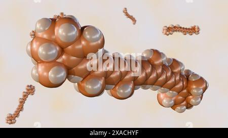 La rappresentazione 3D delle molecole di beta-carotene, chiamate anche carotenoidi, è considerata antiossidante Foto Stock