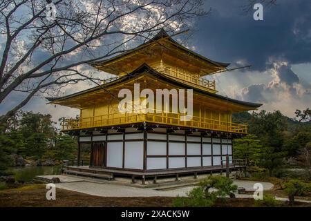 Kinkaku-Ji Golden Pavilion tempio buddista, sito patrimonio dell'umanità dell'UNESCO, Kyoto, Honshu, Giappone, Asia Copyright: MichaelxRunkel 1184-11637 Foto Stock