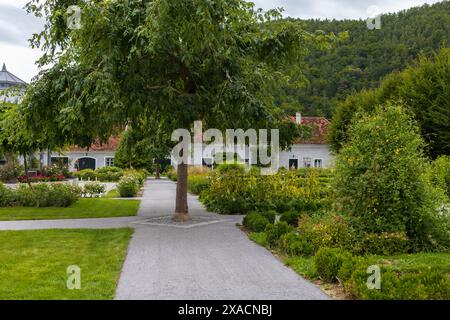 Fotografia di un giardino verde con vicoli e alberi nel mezzo con un antico casale alpino sullo sfondo Foto Stock