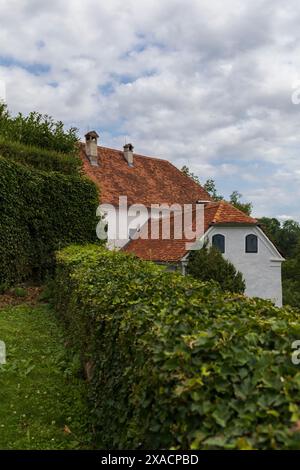 Fotografia di un antico casale alpino bianco con tetto in tegole rosse e cornici verdi delle finestre circondate da recinzioni e alberi verdi Foto Stock
