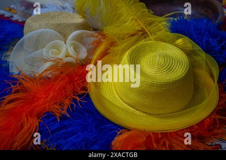 Vista delle piume di struzzo in mostra con un cappello di paglia, presso Safari Ostrich Farm, Oudtshoorn, Capo Occidentale, Sudafrica, Africa Copyright: FrankxFell 844 Foto Stock