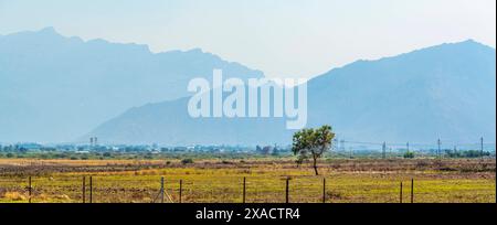 Vista del paesaggio e delle montagne vicino a Worcester, Worcester, Capo Occidentale, Sud Africa, Africa Copyright: FrankxFell 844-33655 Foto Stock