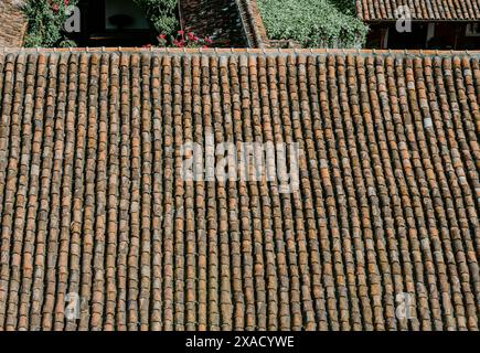 Dettagli di un tetto in tegole di terracotta. Sfondo di vecchie piastrelle di argilla Foto Stock