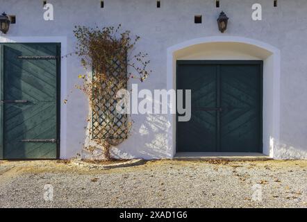 Foto di un'antica fattoria alpina tradizionale con pareti bianche e cancelli verdi in legno nelle soleggiate giornate invernali Foto Stock