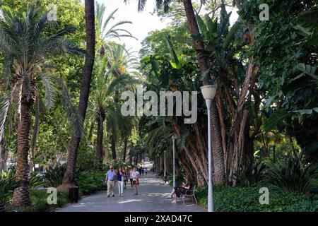 El Parque, il parco di Málaga, Spagna meridionale. Parco centenario con una moltitudine di specie tropicali e subtropicali. Foto Stock