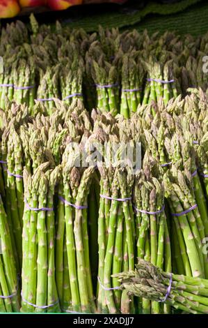 Gli asparagi Spears Foto Stock