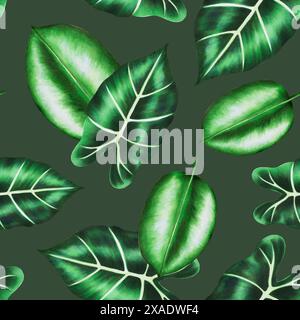 Acquerello realistico motivo tropicale senza cuciture che illustra le lamine di Alocasia e ficus isolate su sfondo bianco. Splendido dipinto botanico a mano Foto Stock