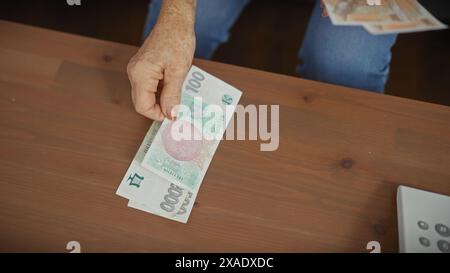 Donna anziana che conta le banconote della corona ceca a casa, suggerendo piani finanziari e pensionistici in un ambiente chiuso. Foto Stock