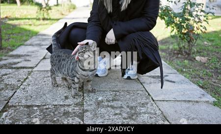 Una giovane donna con un abbigliamento informale, accarezza un gatto da tabby in una strada storica illuminata dal sole di istanbul. Foto Stock