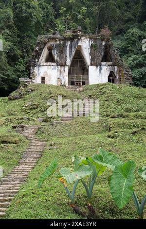 Messico, Chiapas, Palenque, Parco Archeologico di Palenque, Tempio della Croce Foliata Foto Stock