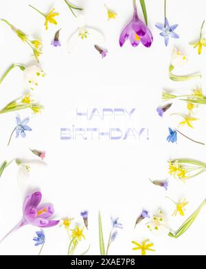 Fiori primaverili allegri e colorati disposti in una cornice con testo Happy Birthday al centro su sfondo bianco. Cornice floreale per compleanno con Spring Flow Foto Stock