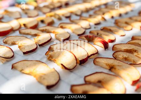 mele secche fatte in casa Foto Stock