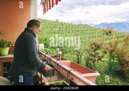 Ritratto di uomo di mezza età piantando piantine sul balcone, piccolo giardino accogliente in appartamento Foto Stock