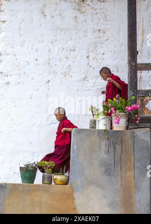 Novizi bhutanesi monaci sulle scale a Nyenzer Lhakhang, Thedtsho Gewog, Wangdue Phodrang, Bhutan Foto Stock