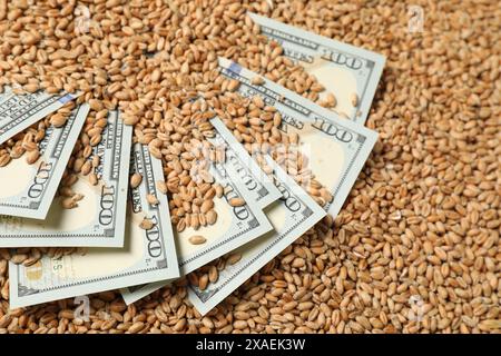 Banconote da un dollaro sui grani di grano, primo piano. Attività agricole Foto Stock