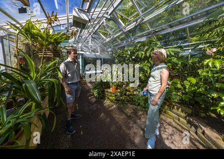 Jesper Kårehed, curatore scientifico del Giardino Botanico dell'Università di Uppsala, conversa con la giornalista Angela Berg nella serra tropicale, circondato da felci dense e orchidee. Triangeln, Uppsala, Contea di Uppsala, Svezia. Foto Stock