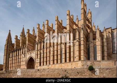 Cattedrale la Seu Santa Maria di Palma, scatto grandangolare di Maiorca, vista ad angolo basso durante il giorno, Maiorca Foto Stock