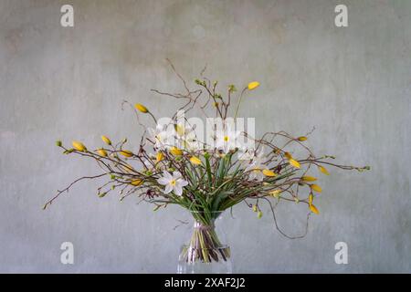 Composizione floreale a molla. Design interno con bouquet di fiori primaverili in vaso. Foto Stock