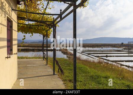 Foto da una casa gialla con terrazza con vigneti, saline e canali nel Parco naturale di Sečovlje Salina in Slovenia Foto Stock