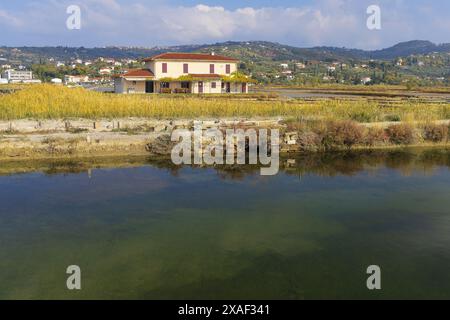 Foto di una casa gialla con tetto in tegole rosse attraverso il canale di sale nel Parco naturale di Sečovlje Salina in Slovenia Foto Stock