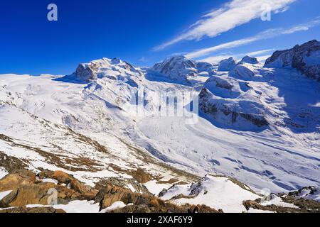 Vista panoramica del Ghiacciaio Gorner (Grenzgletscher) e molte cime della catena montuosa del Monte Rosa, come si vede dal Gornergrat nella SWI Foto Stock