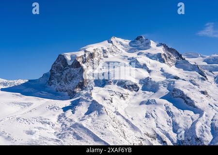 Vista panoramica del Ghiacciaio Gorner (Grenzgletscher) e molte cime della catena montuosa del Monte Rosa, come si vede dal Gornergrat nella SWI Foto Stock