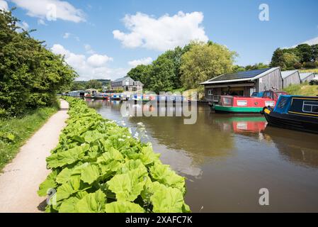 Guardando verso le barche Silsden con barche strette ormeggiate sul canale Leeds & Liverpool. Foto Stock