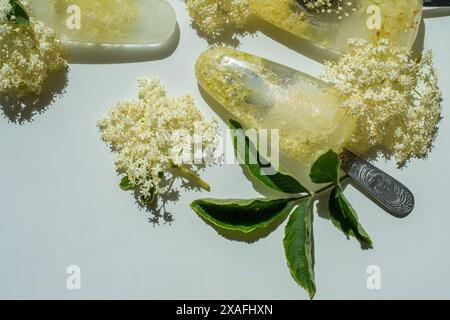 Fiori di sambuco bianchi congelati in acqua sotto forma di gelato su un tavolo bianco. Foto Stock