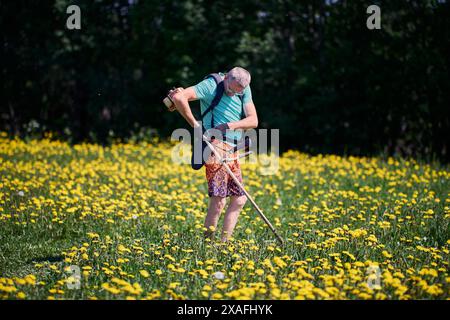 L'uomo collega il rifinitore per corde alla sospensione dello zaino prima di falciare le erbacce nel campo del dente di leone. Foto Stock